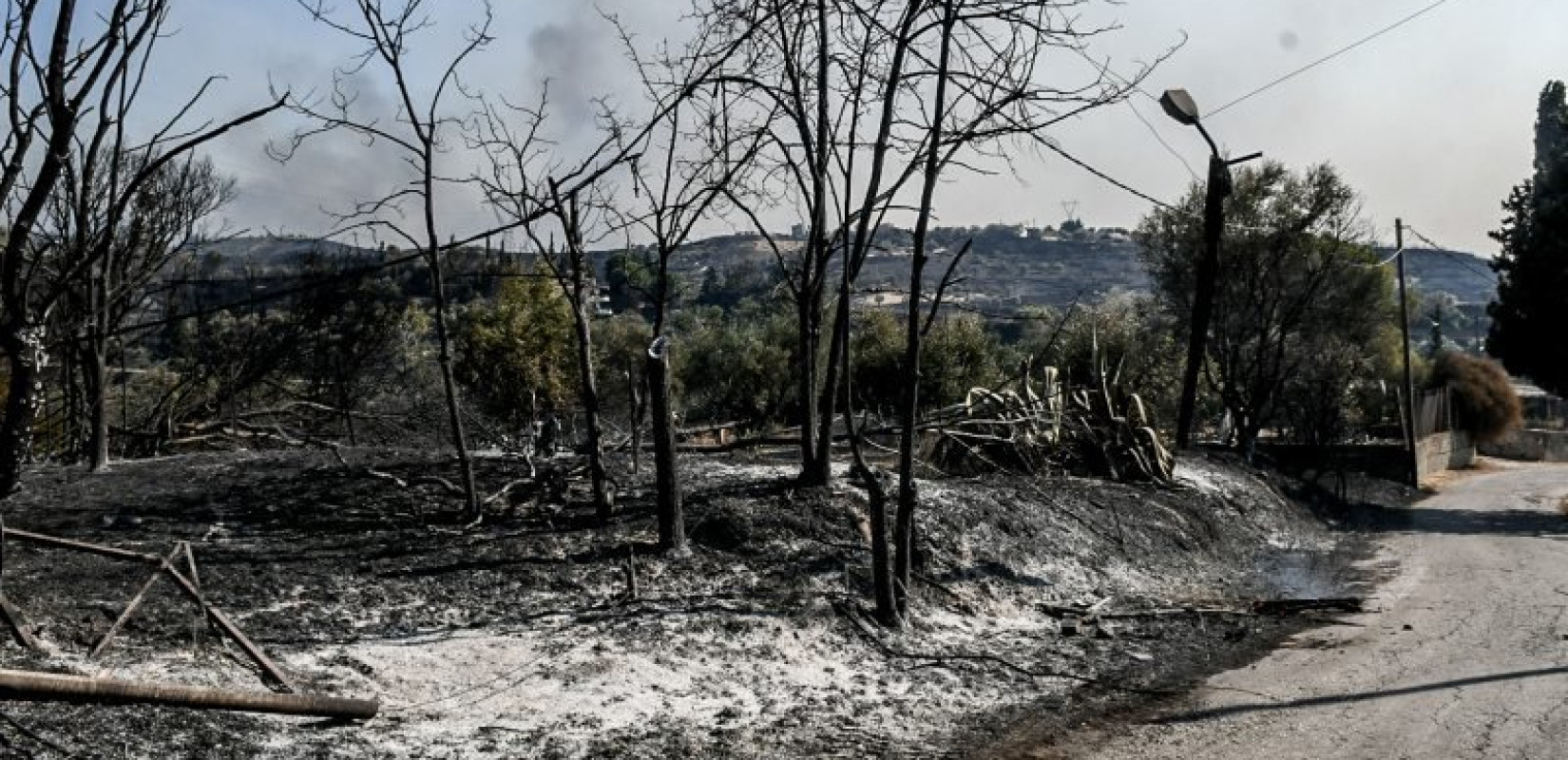 Πυρκαγιές: Ξεκίνησαν οι αυτοψίες στις πληγείσες περιοχές