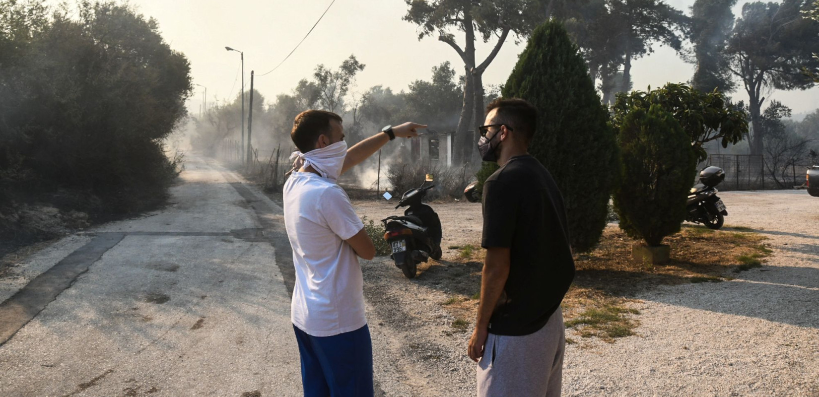 Φωτιά στην Αχαΐα: Αναζητείται κτηνοτρόφος που προσπάθησε να σώσει τα αιγοπρόβατά του