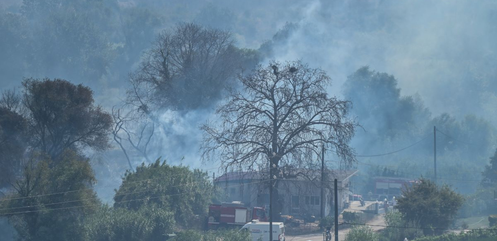 Χωρίς ενεργό μέτωπο η φωτιά στην Πρέβεζα