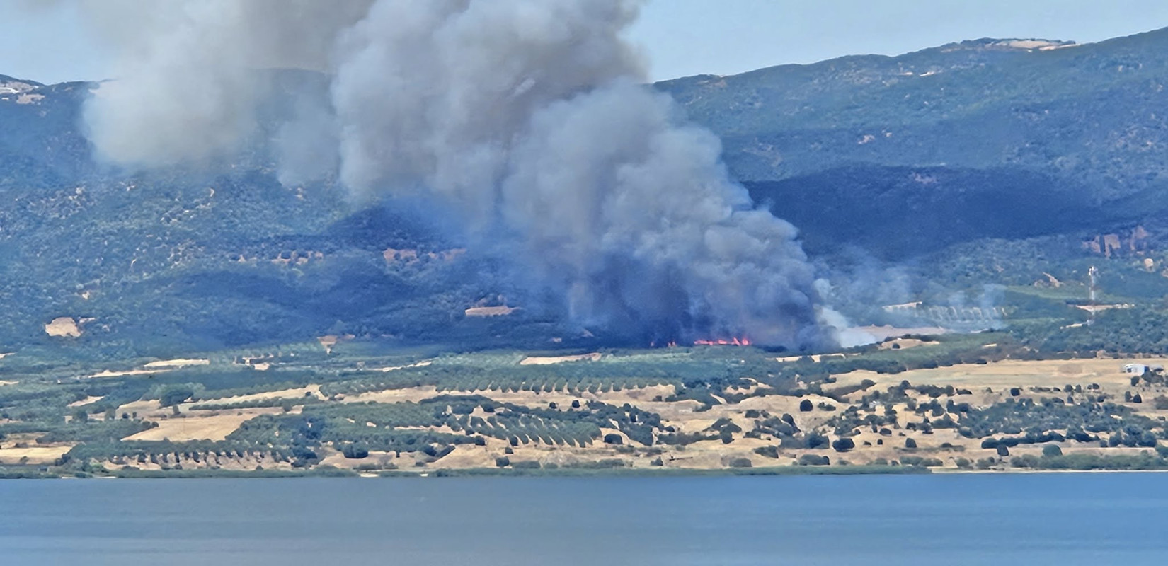 Θεσσαλονίκη: Καλύτερη εικόνα παρουσιάζει η πυρκαγιά στη Μεγάλη Βόλβη (βίντεο)