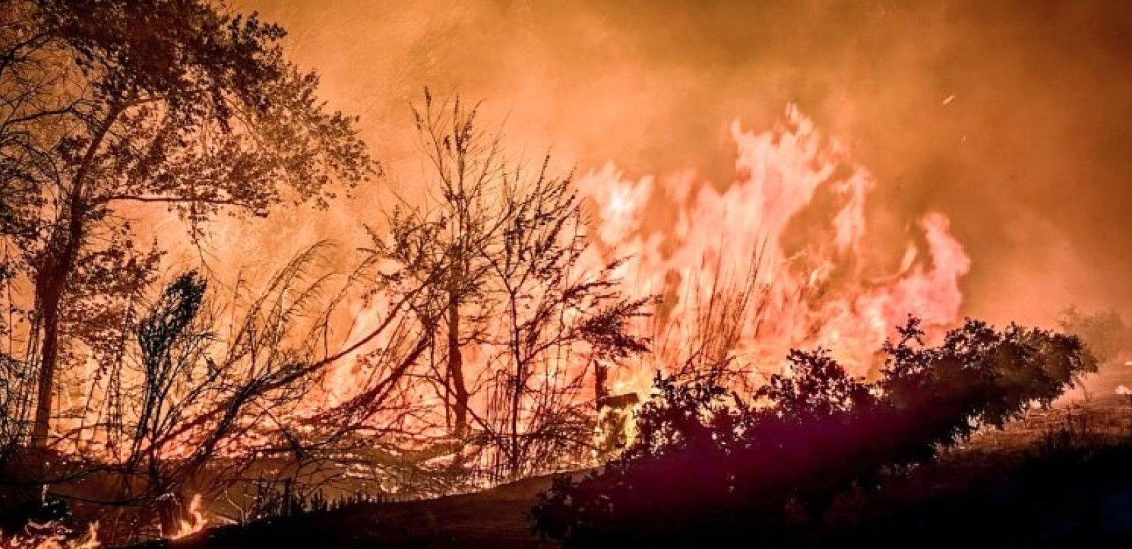Φωτιά στα Παλιάμπελα Βόνιτσας: Ήχησε το 112 για ετοιμότητα - Καλύτερη η εικόνα στο μέτωπο στον Γαλατά Αιτωλοακαρνανίας