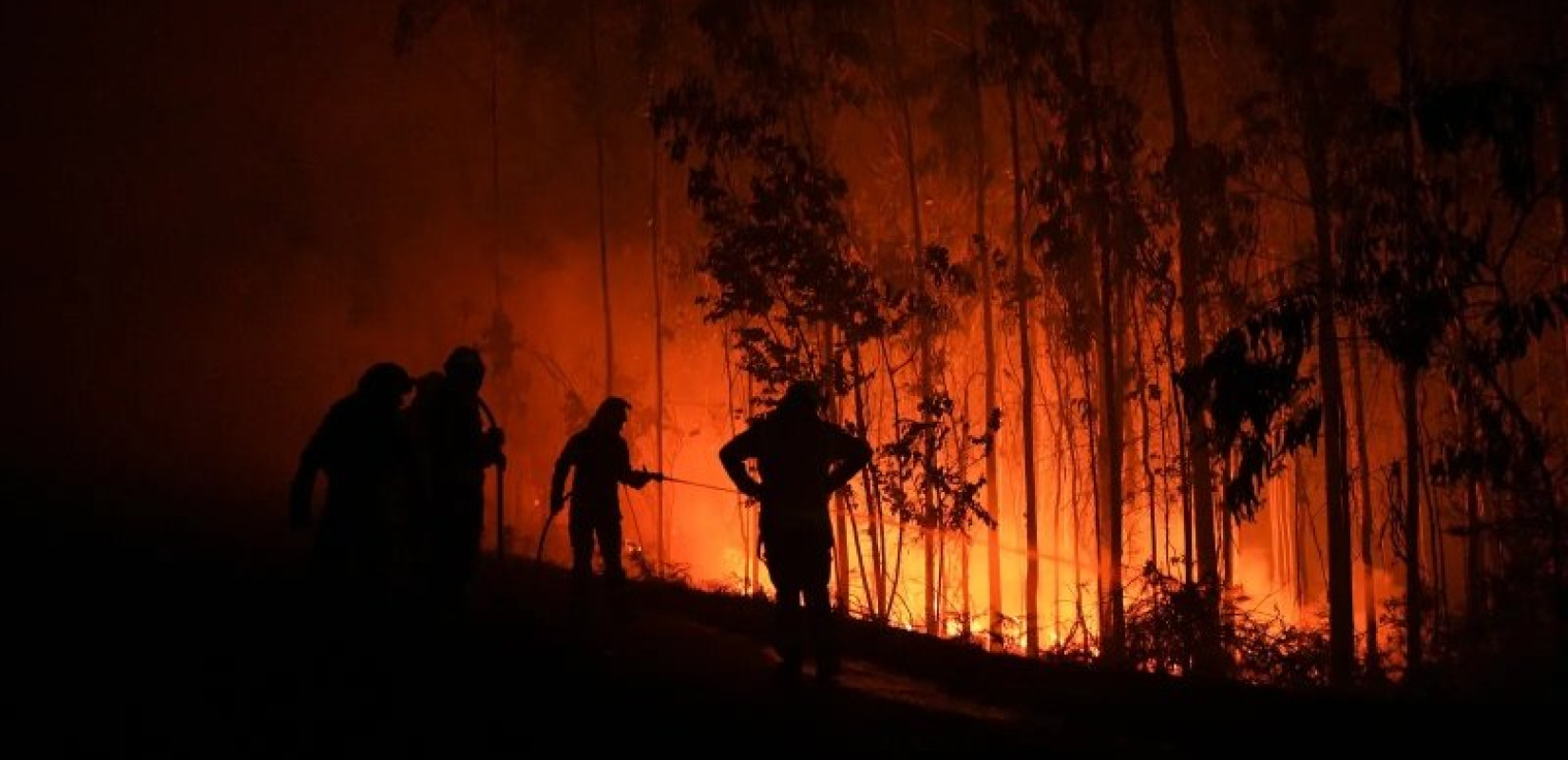 Σε πύρινο κλοιό η βορειοδυτική Ισπανία – Πάνω από 1.000 απομακρύνσεις λόγω δασικών πυρκαγιών (βίντεο)