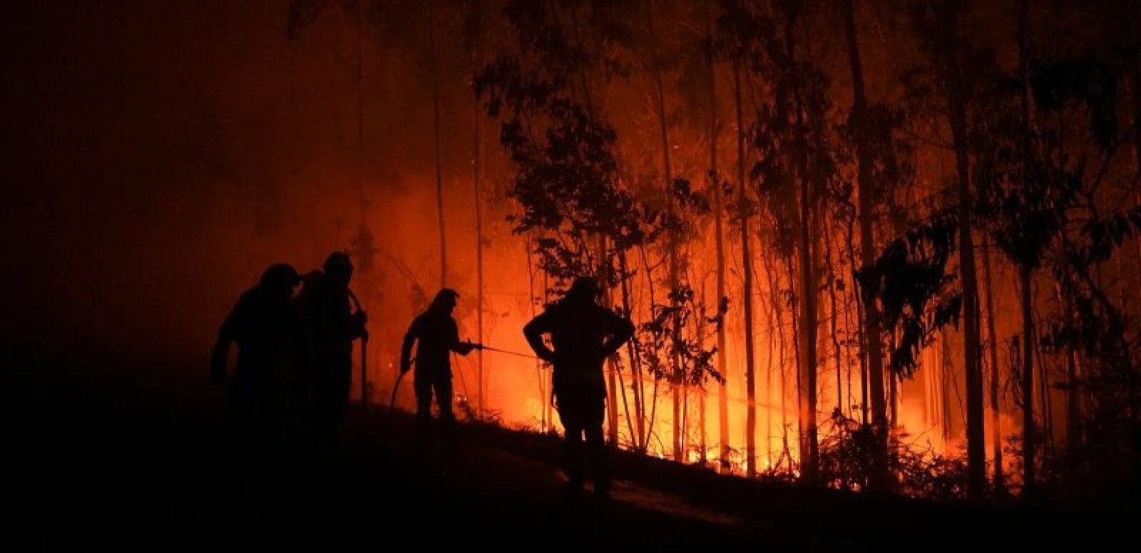 Ισπανία: Υπό έλεγχο η μεγάλη δασική πυρκαγιά στη Μαδρίτη - Κάηκαν πάνω από 10.000 στρέμματα