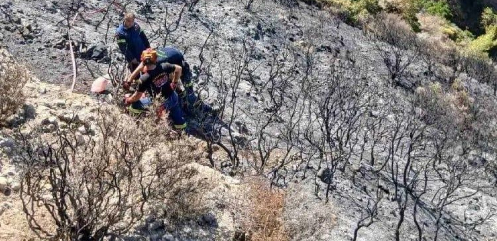 Πάτρα: Σοβαρός τραυματισμός πυροσβέστη που έπεσε σε χαράδρα