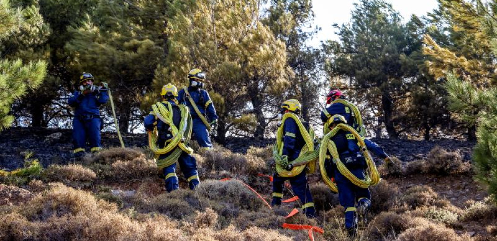 Πυρκαγιές: 5.000 πυροσβέστες και εθελοντές σε τιτάνια μάχη με τις φλόγες - «Είναι το πιο δύσκολο 24ωρο της αντιπυρικής περιόδου»