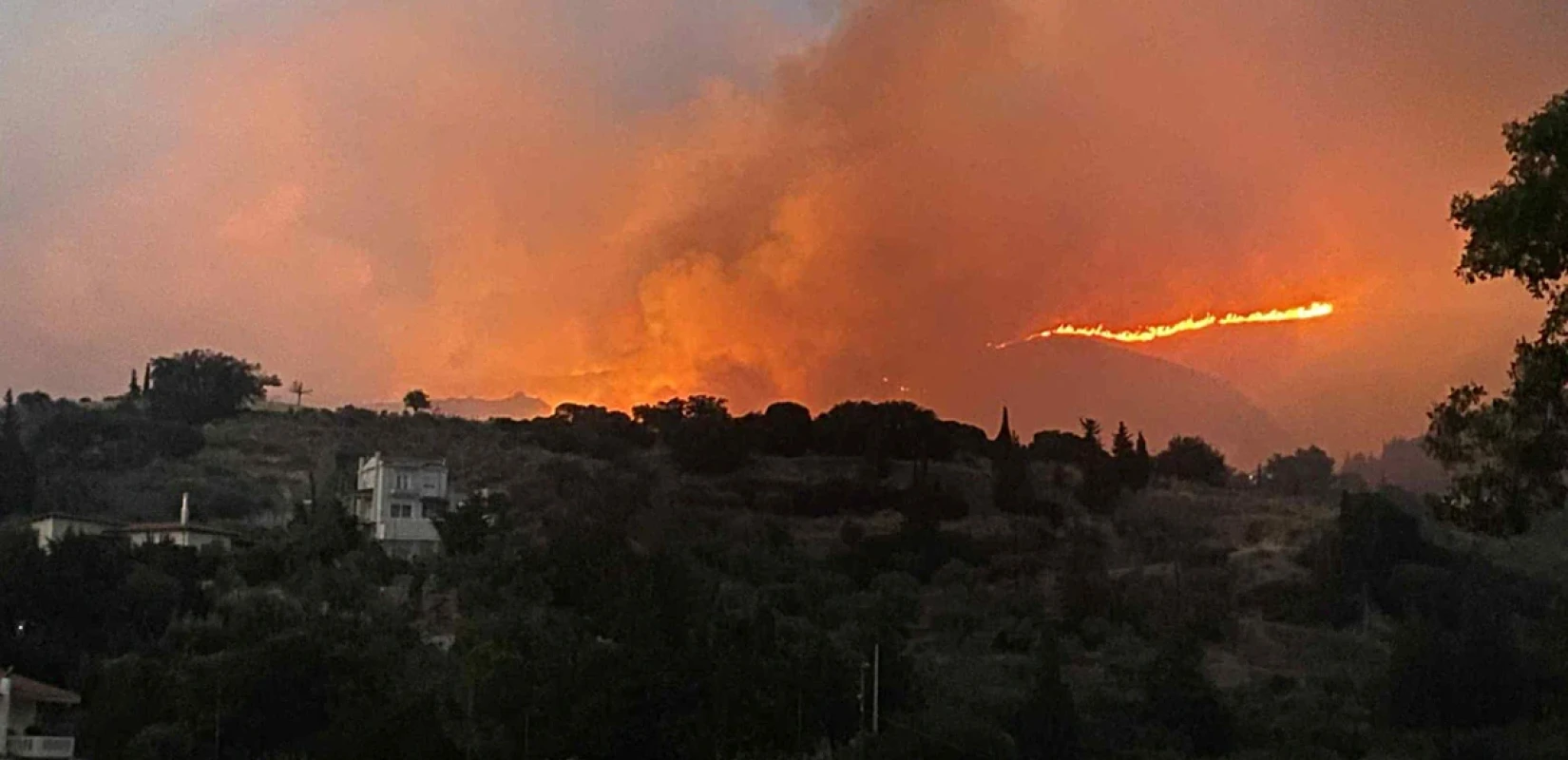 Φωτιές στην Αχαΐα: Στα χέρια της αστυνομίας τρία άτομα - 19χρονος ομολόγησε εμπρησμό στα Συχαινά