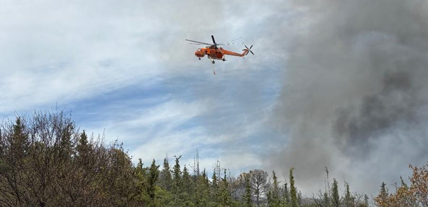 Με τουλάχιστον 38 αγροτοδασικές πυρκαγιές αντιμέτωπη η Πυροσβεστική το τελευταίο 24ωρο