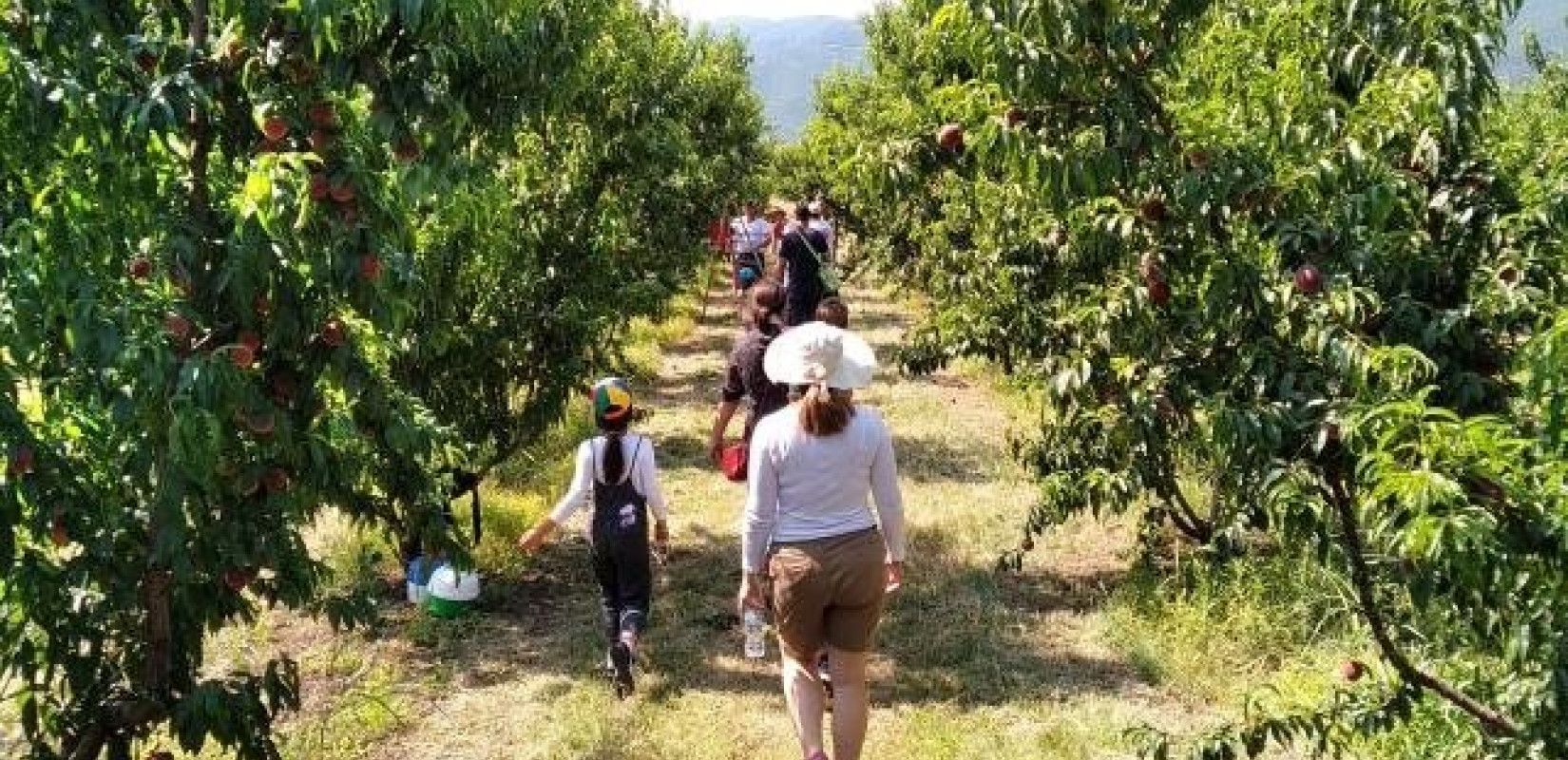 Τα «εναλλακτικά» καλοκαίρια των νέων με αγροτουρισμό και τουρισμό περιπέτειας