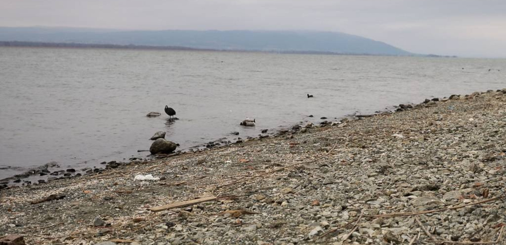 Ανακοίνωση σχετικά με την απαγόρευση ενάσκησης επαγγελματικής και ερασιτεχνικής αλιείας στη λίμνη Βόλβη