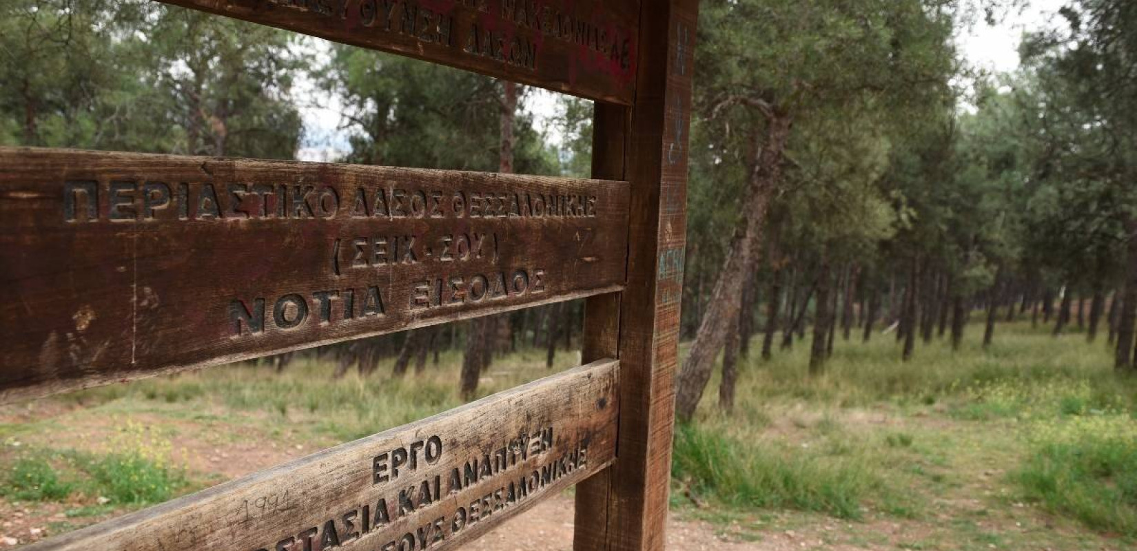 Ανοιχτό ξανά το δάσος του Σέιχ Σου και του Χορτιάτη 