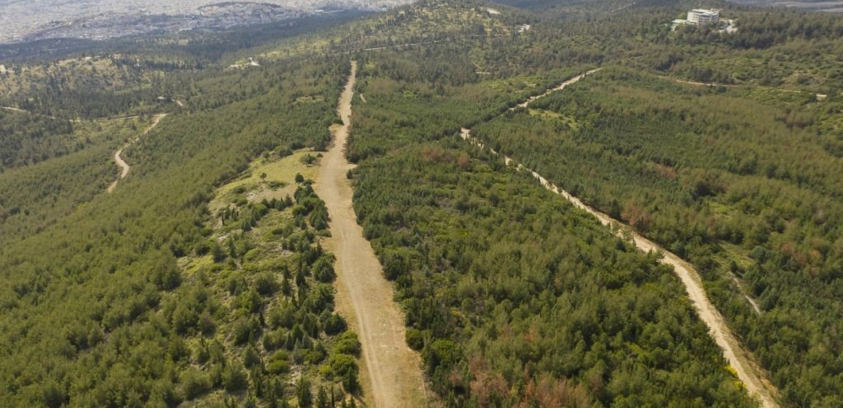 Θεσσαλονίκη: Απαγόρευση κυκλοφορίας σε δασικές εκτάσεις λόγω κινδύνου πυρκαγιάς