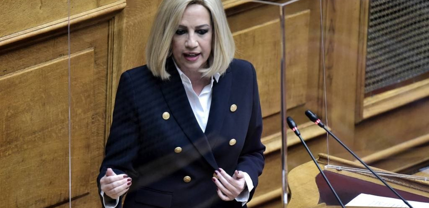 Περιοδεία σε Ανατολική Μακεδονία και Θράκη πραγματοποιεί η Φ. Γεννηματά	