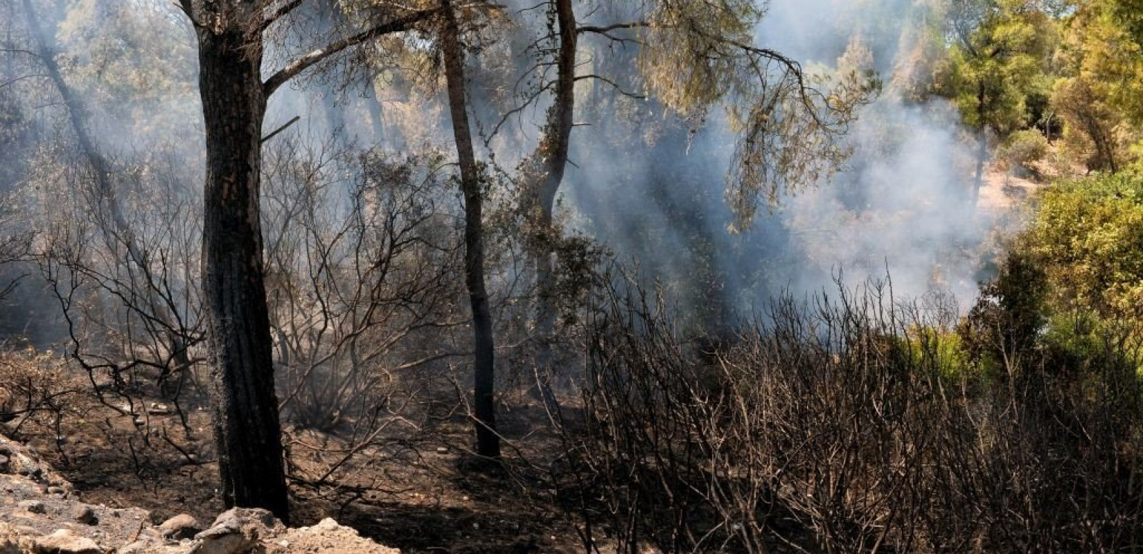 Η τεχνητή νοημοσύνη στη μάχη για την πρόληψη απέναντι στις δασικές πυρκαγιές