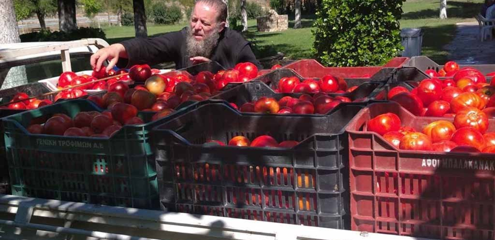 ΗΠΑ: Η ντομάτα ήταν η γιαγιά της... πατάτας, σύμφωνα με μια διεθνή μελέτη