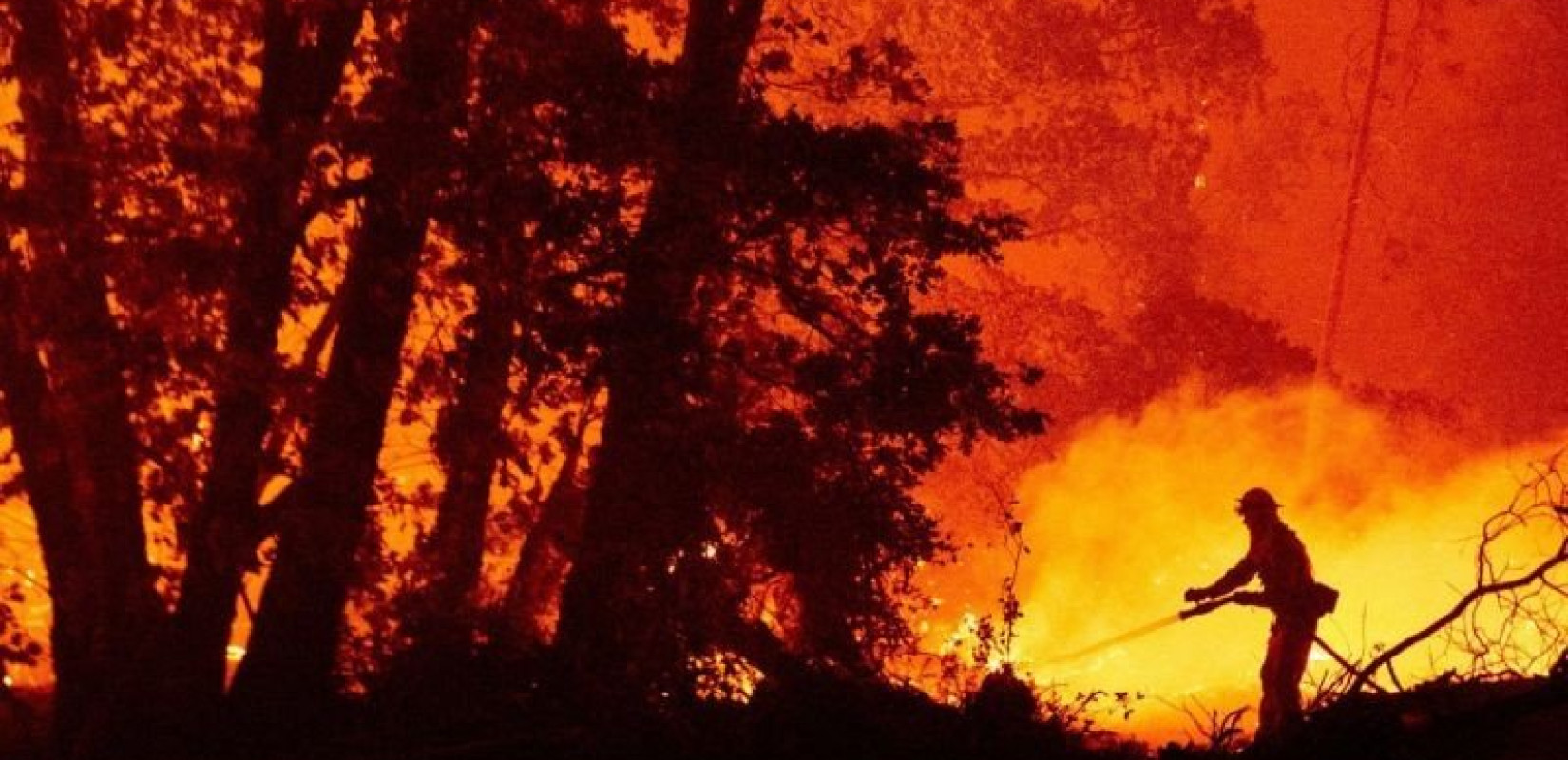 Προσοχή σήμερα σε Θεσσαλονίκη και Χαλκιδική: Υψηλός κίνδυνος πυρκαγιάς (φωτ.)