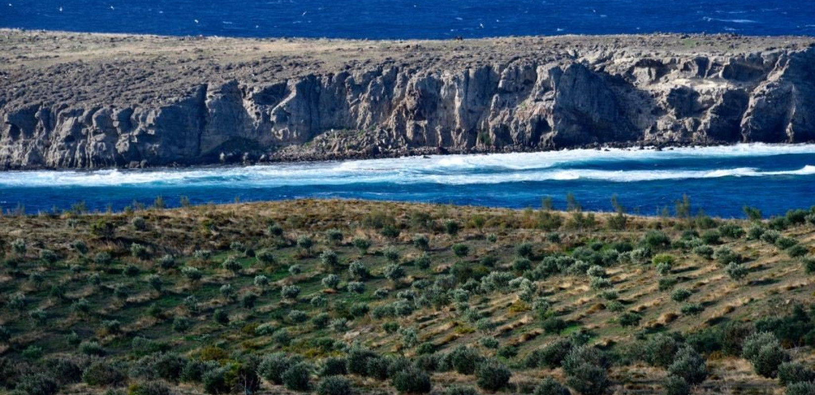 ΟΠΕΚΕΠΕ: Άρχισε η εκκαθάριση πληρωμής του μέτρου 10 «Αγροπεριβαλλοντικά μέτρα»