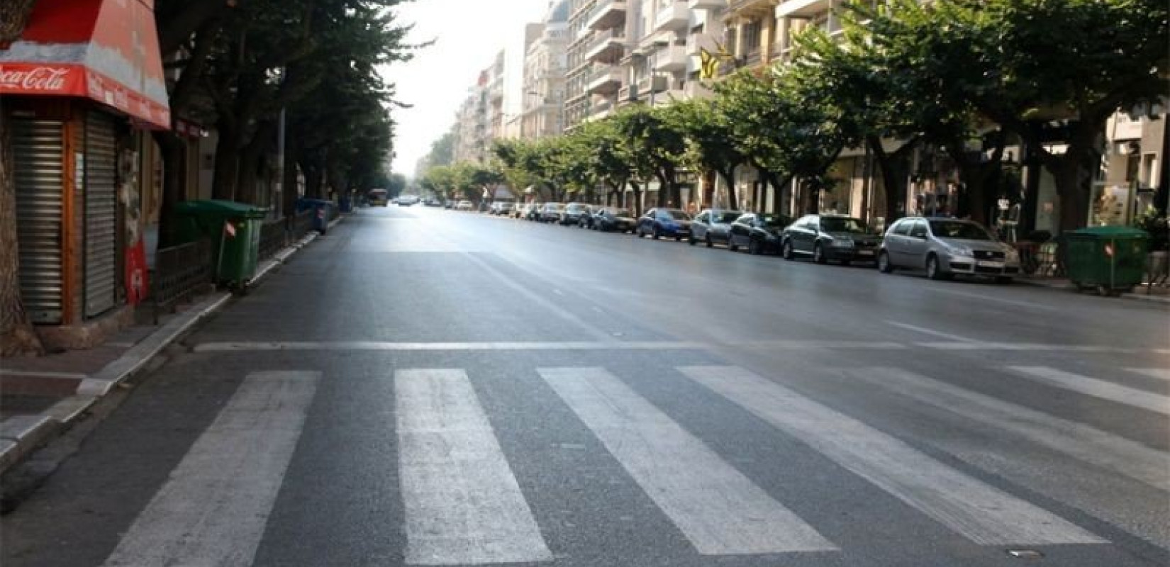 Θεσσαλονίκη: Κόβονται 41 δέντρα στην Τσιμισκή λόγω επικινδυνότητας και προχωρημένης σήψης