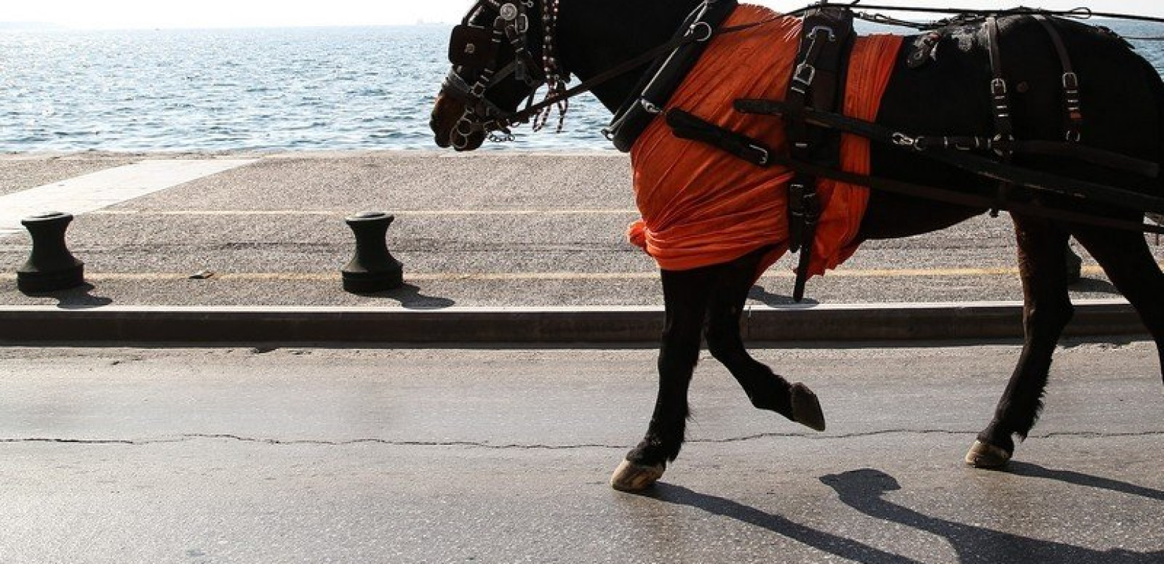 Άμαξες και άλογα αντί... λεωφορείων (βίντεο) 