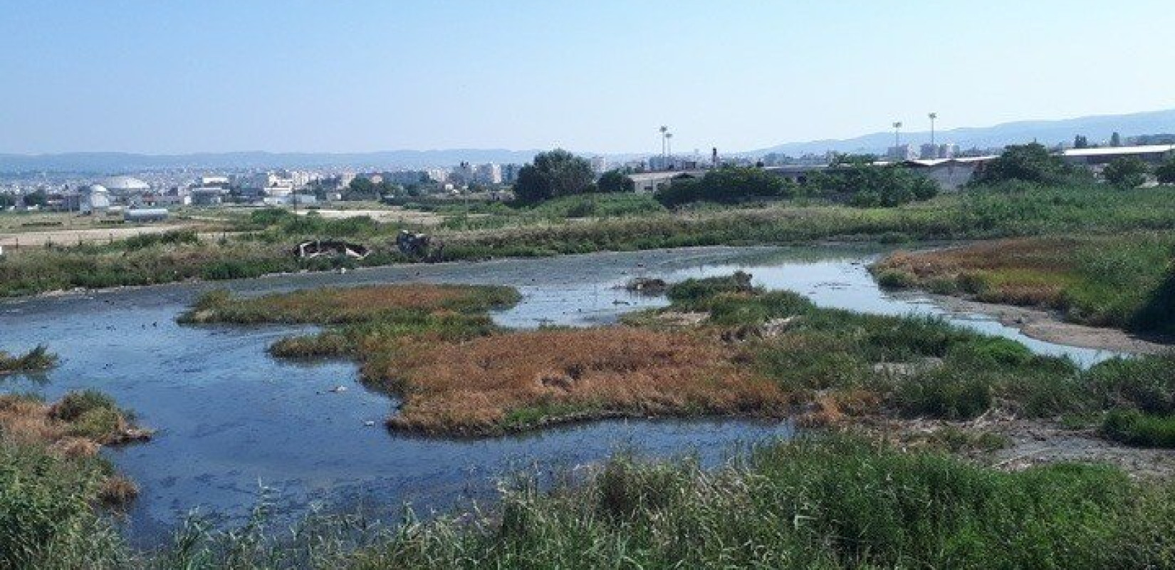 ΕΥΑΘ: Δενδροφύτευση στα παλαιά Βυρσοδεψεία για την Ημέρα Περιβάλλοντος