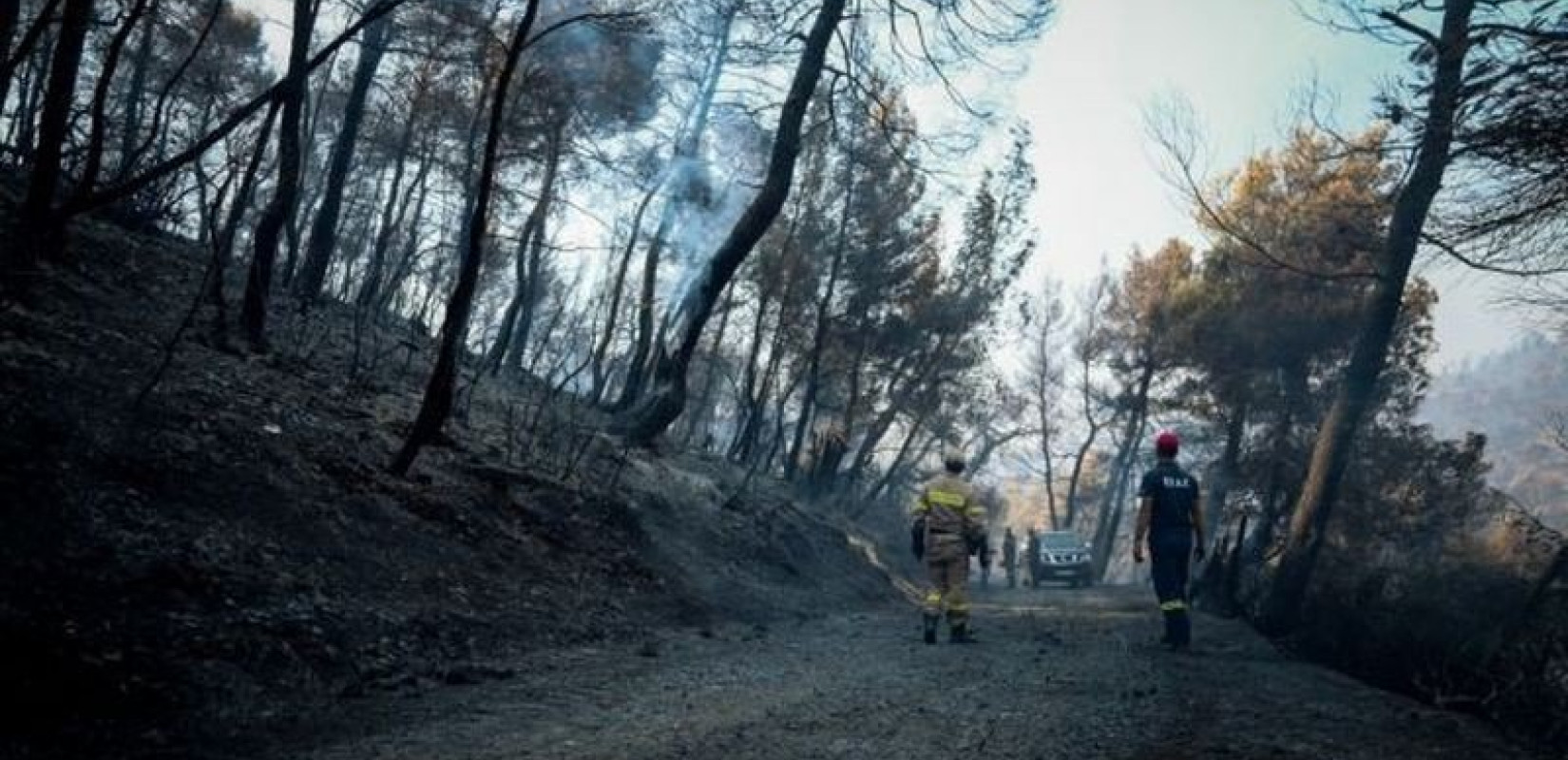 Β. Κικίλιας: Μετά από 50 χρόνια μπαίνουμε με τους ειδικούς στα δάση της Αττικής για να κάνουμε αντιπυρικές ζώνες