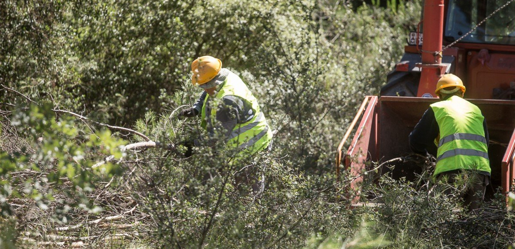 Ξεκινά την Πρωτομαγιά η αντιπυρική περίοδος - Μέχρι αύριο οι καθαρισμοί των οικοπέδων