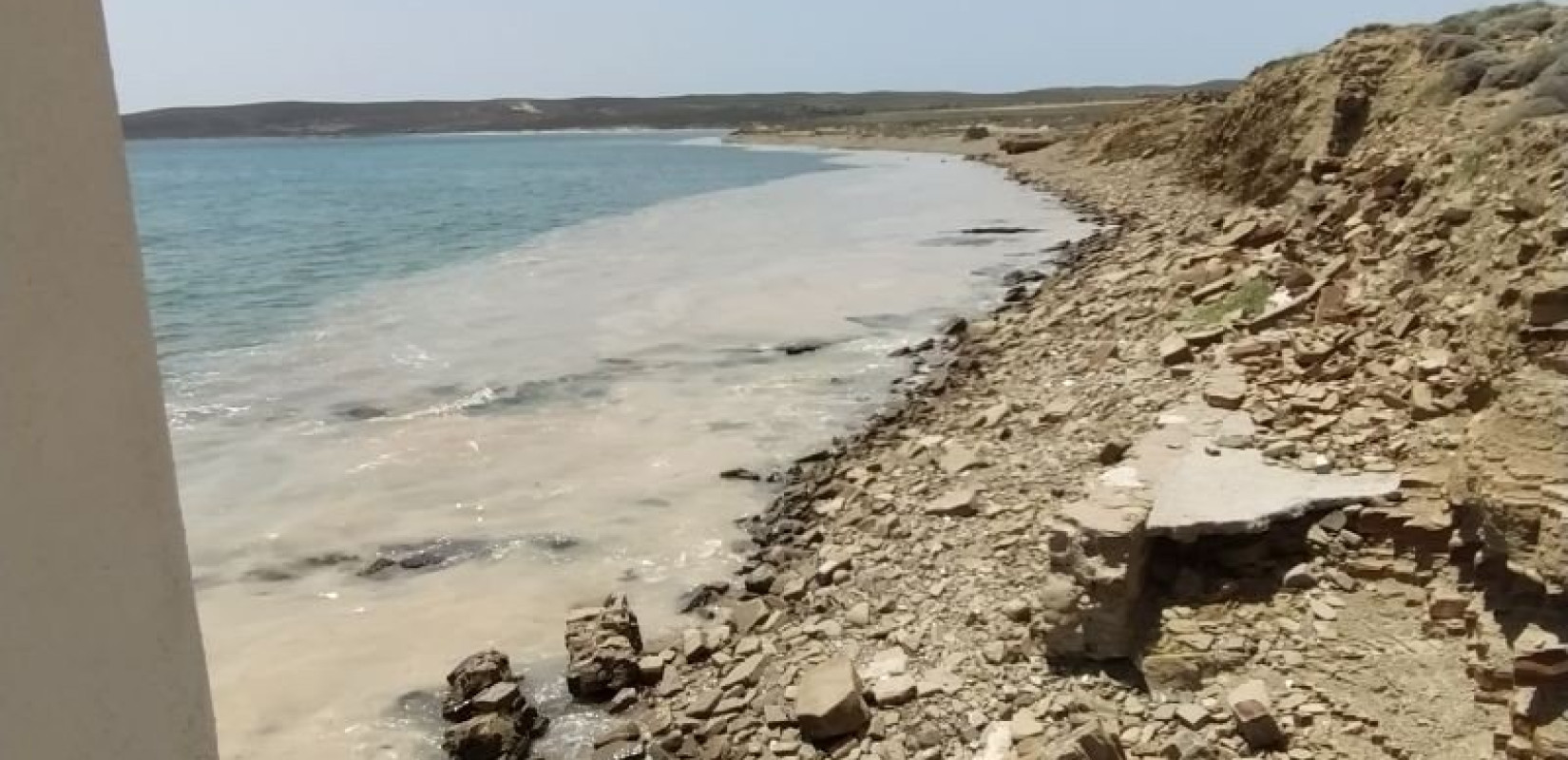 Γιατί γέμισαν τελικά οι θάλασσες φυτοπλαγκτόν, βλέννα και μέδουσες;