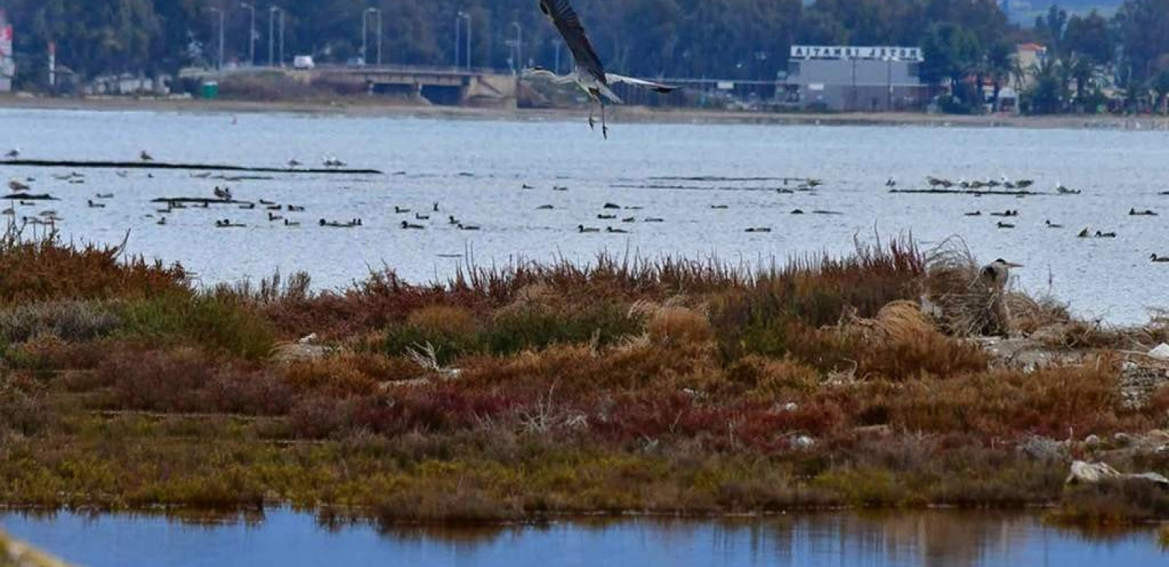 ΤτΕ:  Άνοδο της θερμοκρασίας, μείωση βροχοπτώσεων και ενίσχυση της ξηρασίας προβλέπεται για τις επόμενες δεκαετίες στην Ελλάδα