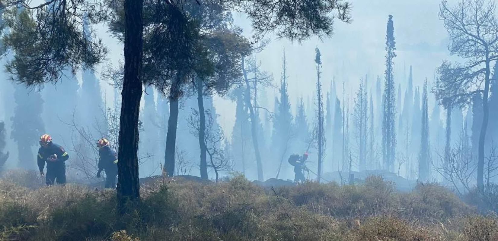 Θεσσαλονίκη: SOS  για το Σέιχ Σου εκπέμπουν κάτοικοι των Πεύκων