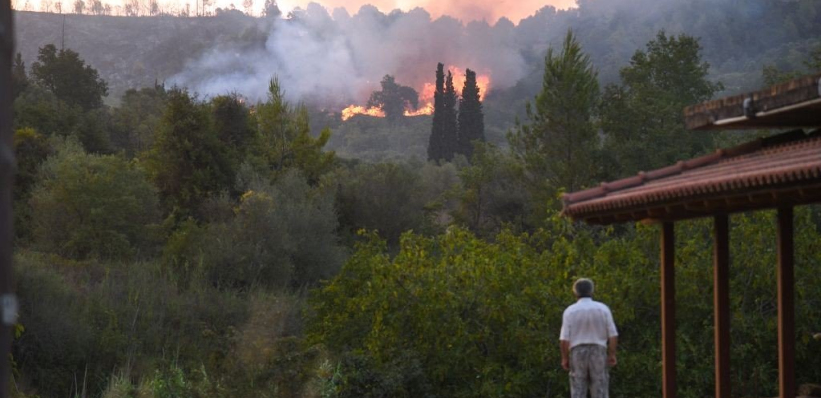 Σε απόγνωση οι πυρόπληκτοι της Αρχαίας Ολυμπίας - Από τον Αύγουστο δεν έχουν λάβει αποζημιώσεις (βίντεο)