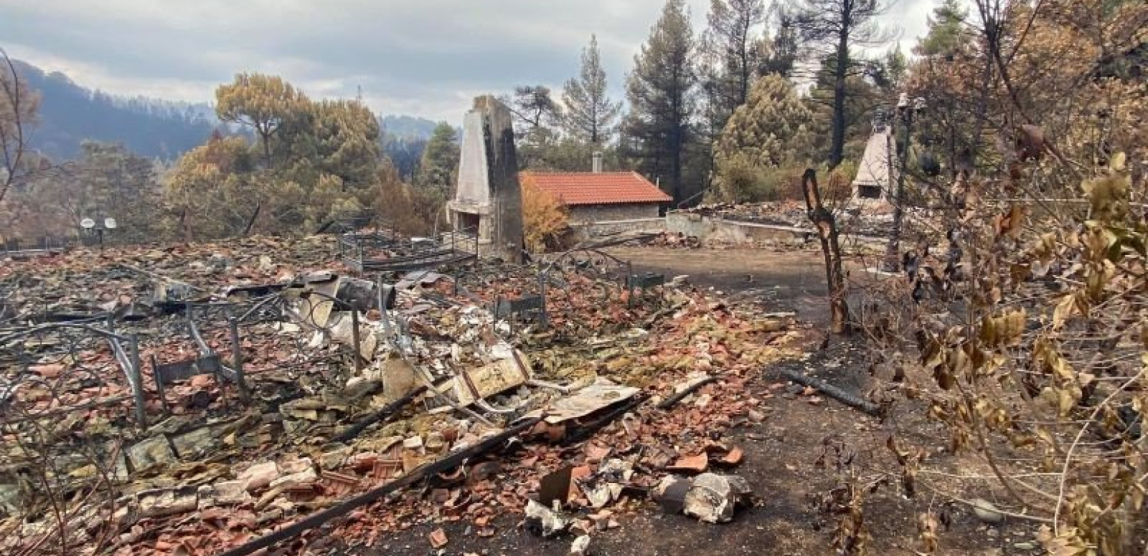 Ανοίγει αύριο η πλατφόρμα για τις αποζημιώσεις από τις φωτιές – Όλα τα μέτρα στήριξης των πυρόπληκτων (Βίντεο)