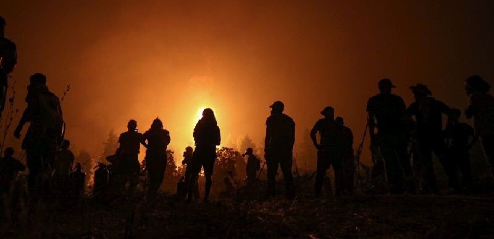 ΓΣΕΒΕΕ: Στοίχημα η ανασυγκρότηση των πυρόπληκτων περιοχών της Εύβοιας