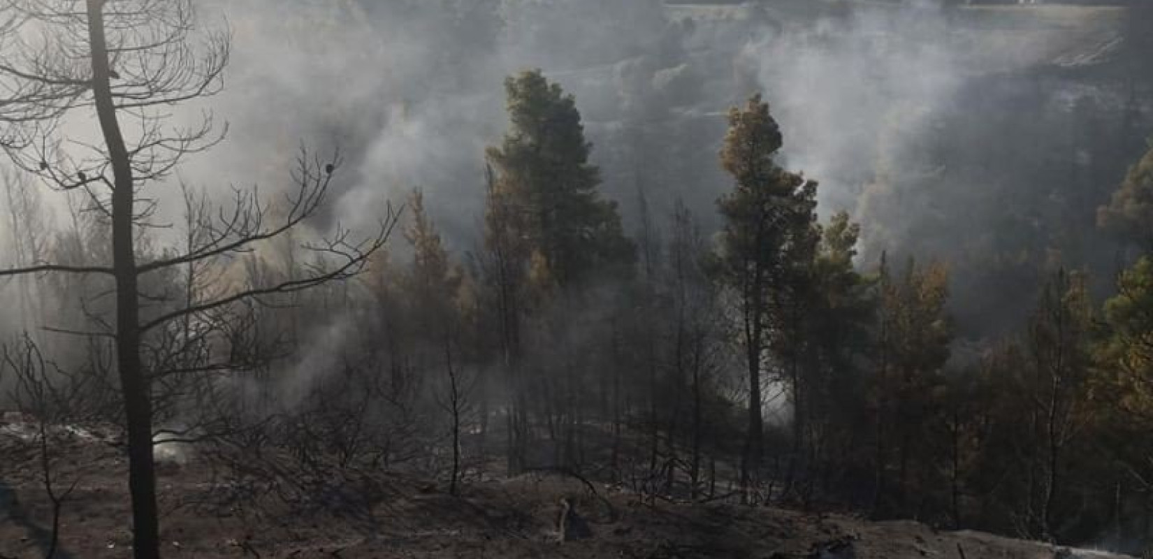 Σε ύφεση βρίσκεται η πυρκαγιά στη Φούρκα - Σταμάτησαν τα εναέρια μέσα (βίντεο)