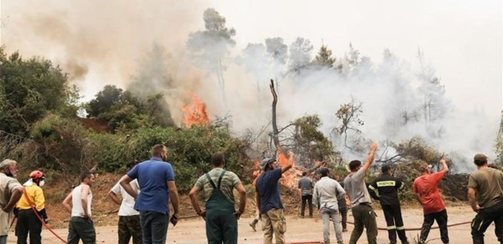 Ελληνογερμανικό Επιμελητήριο: Στήριξη των πυρόπληκτων επιχειρήσεων με τέσσερις δράσεις