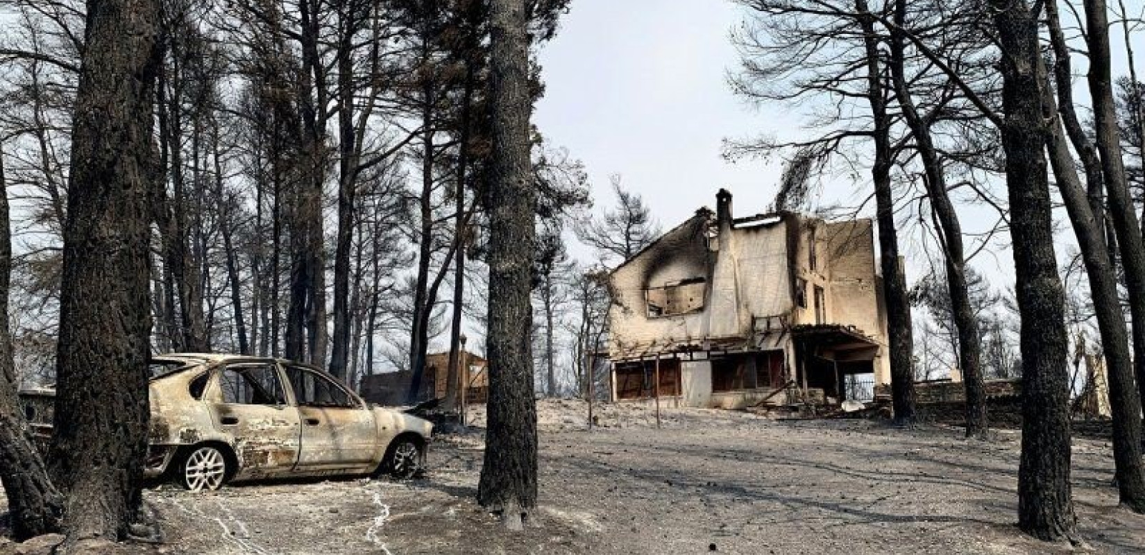 Σε λειτουργία ηλεκτρονική πλατφόρμα για την αποζημίωση πυρόπληκτων