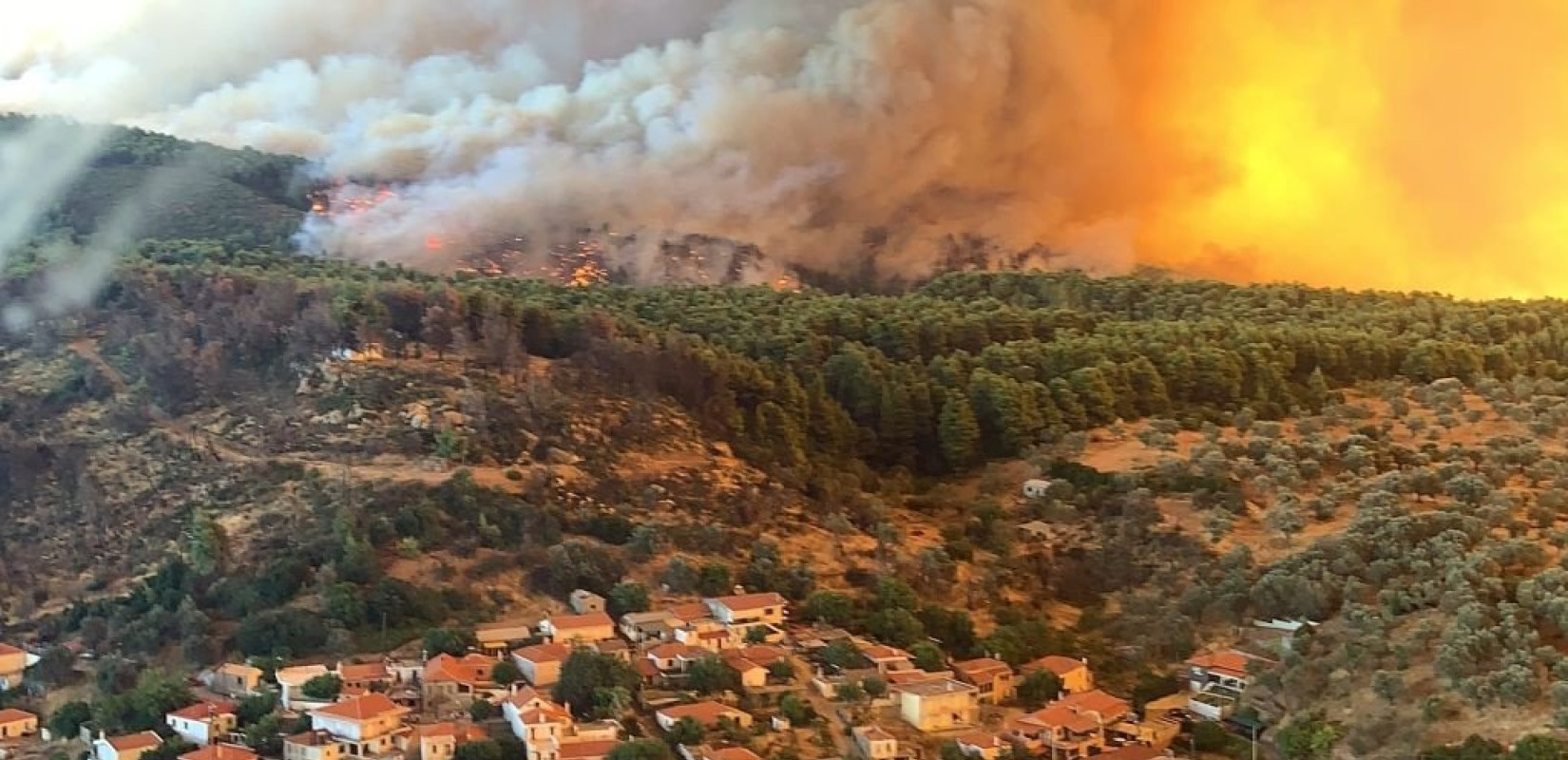 Πρωτοβουλία του WWF Ελλάς για τοπικά σχέδια δράσης πρόληψης των δασικών πυρκαγιών