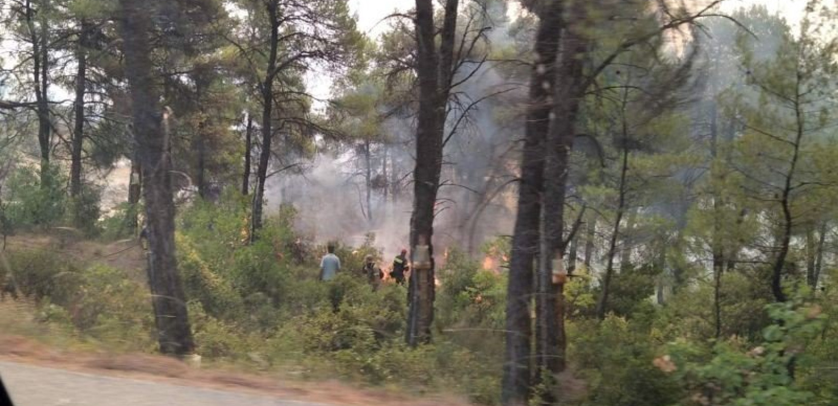 Πρόγραμμα απασχόλησης ρητινεργατών: Επταετής σύμβαση με μισθό ως 1000 ευρώ