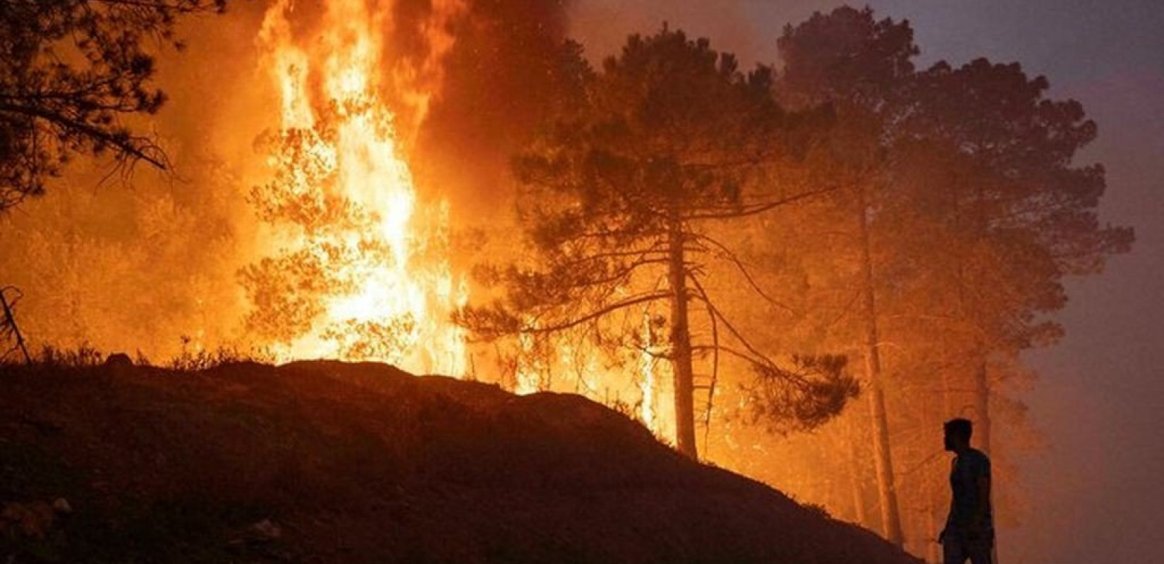 Φωτιά στην Ουάσιγκτον: Απειλούνται σπίτια, ζώα και ένα αγωγός αερίου