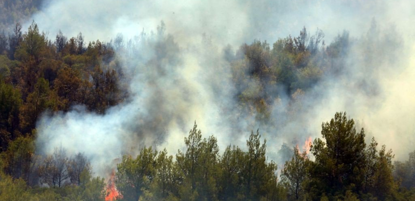 Καβάλα: Μεγάλη φωτιά σε εξέλιξη στον δήμο Παγγαίου (βίντεο)
