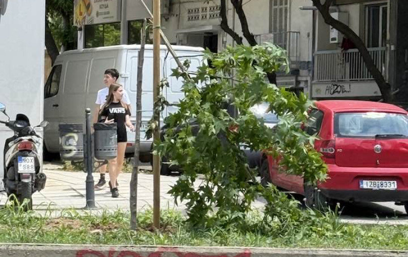 Θεσσαλονίκη: Οργή Διαμαντάκη για την καταστροφή νεόφυτου δέντρου στην Κ. Καραμανλή Θεσσαλονίκη: Οργή Διαμαντάκη για την καταστροφή νεόφυτου δέντρου στην Κ. Καραμανλή