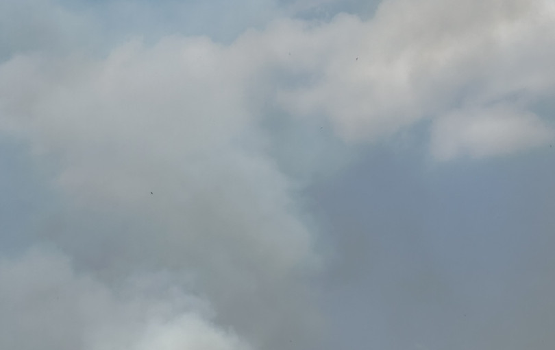 Φωτιά στο Ωραιόκαστρο: Περιορίστηκε σε χαράδρα η εστία - Σε εξέλιξη η κατάσβεσή της