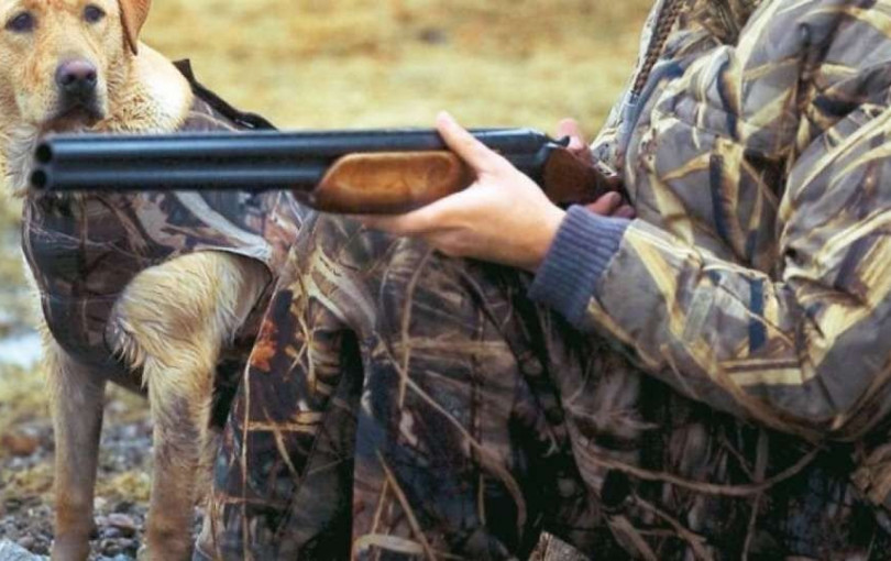 Ξάνθη: Συνελήφθη ένας 46χρονος που κατηγορείται ότι σκότωσε σκύλο με κυνηγετικό όπλο